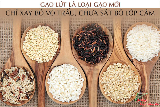 gạo lứt rang ăn liền